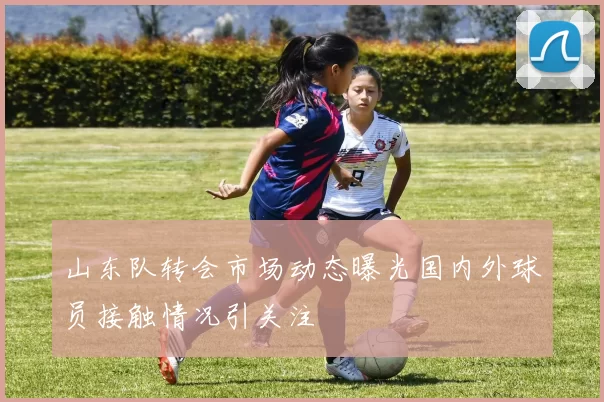 山东队转会市场动态曝光国内外球员接触情况引关注