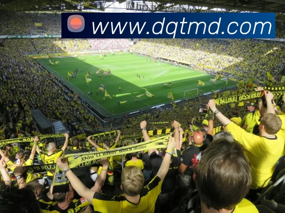 对战数据统计